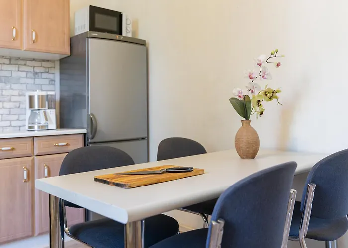 Flex Aparts - Moeblierte In * Zwickau