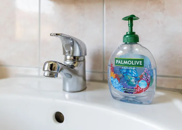 Flex Aparts - Moeblierte In *